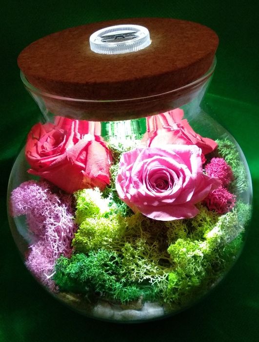 Флорариум ручной работы.