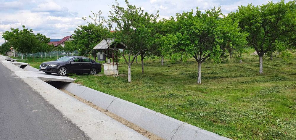 Teren 5.000 mp la DJ asfaltat – intravilan + extravilan.