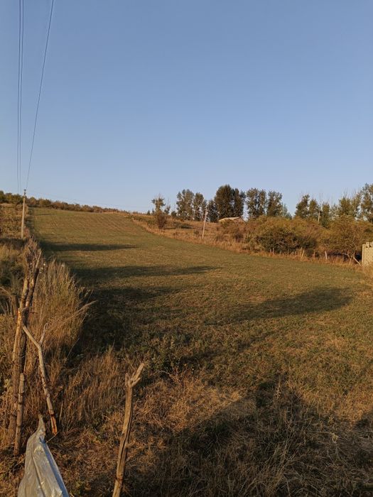 Участок 100 соток