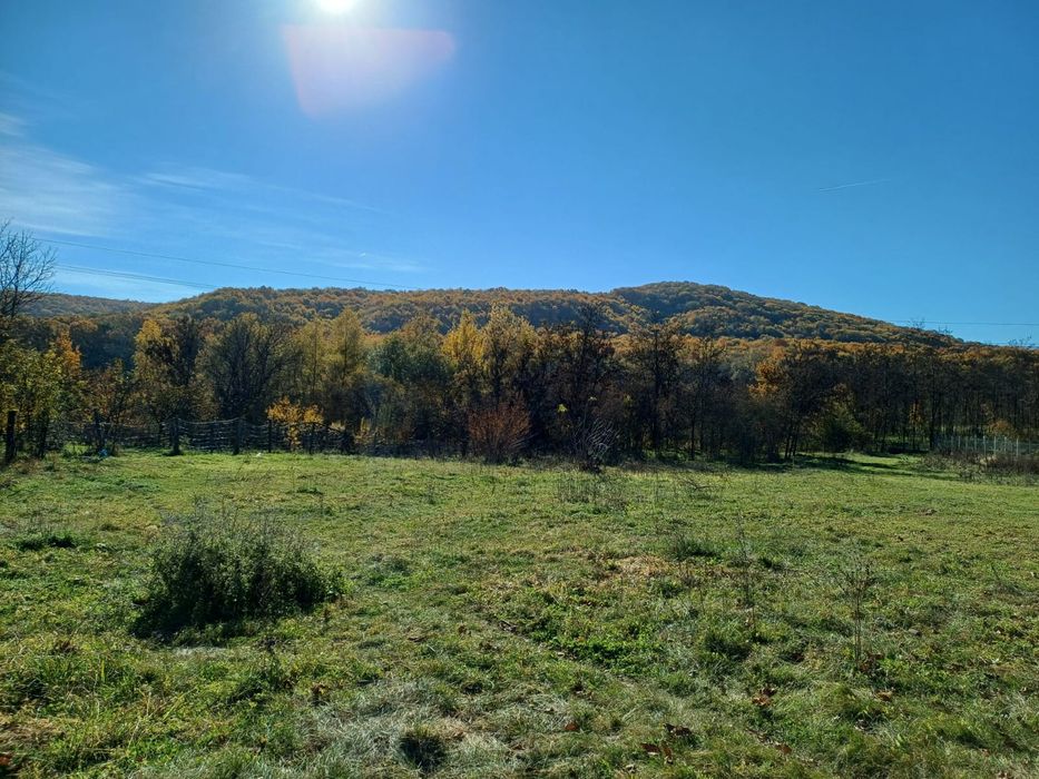 Teren Valea Salciilor