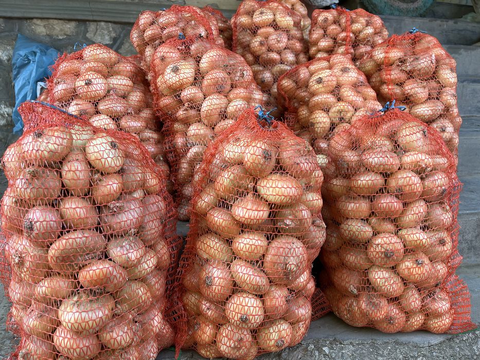 Ceapă albă din arpagic