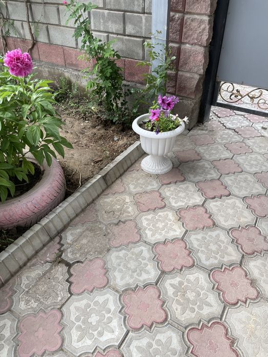 Недвижимость в бесагаше