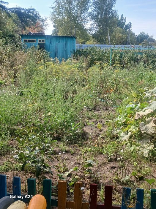 Срочно в рассрочку добротную дачу