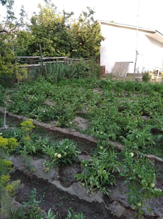Продам дом, цена договорная