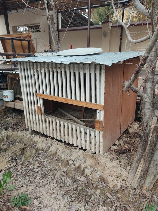 Товук ва хархил парандалар учун катак куй боксаям булади