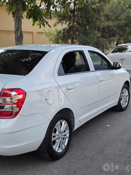 Cobalt oq toza 2025