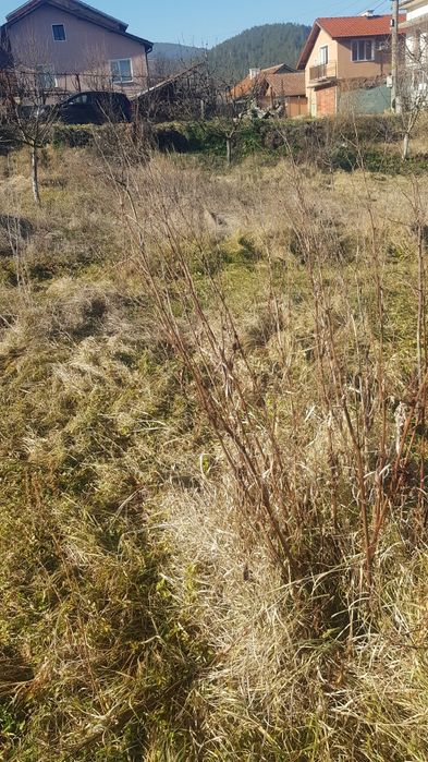 Продава се Парцел в с. Слокощица, Област Кюстендил - 2800 кв.м за 4 €/кв.м - Снимка #2