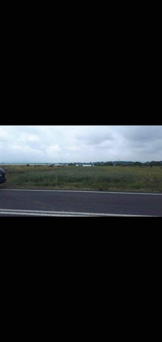 Teren  Dunare Moldova Noua  #intre Macesti si Pojejena#