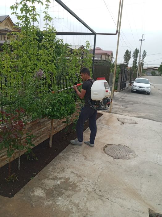 Обработка дезинфекции деревьев дарахтларга дори серия  садовник богбон