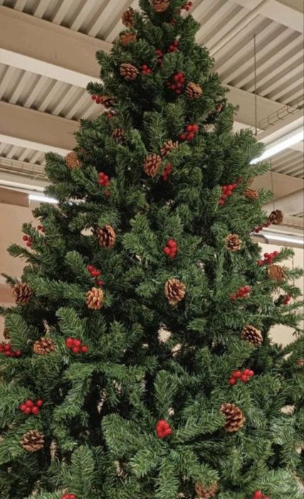 Коледно   дърво ...