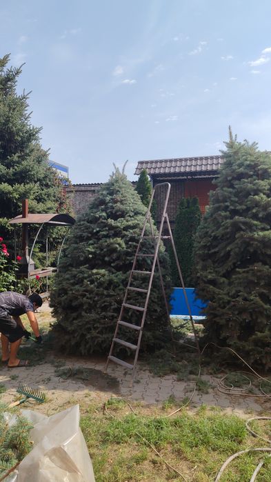 Услуги Садовника разумные цены