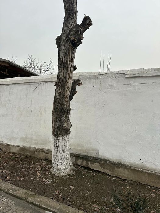 Ёнгок сотилади холати яхши