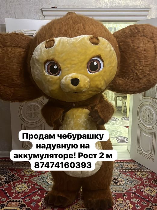 Мишка. Тедди на прокат. Аниматор