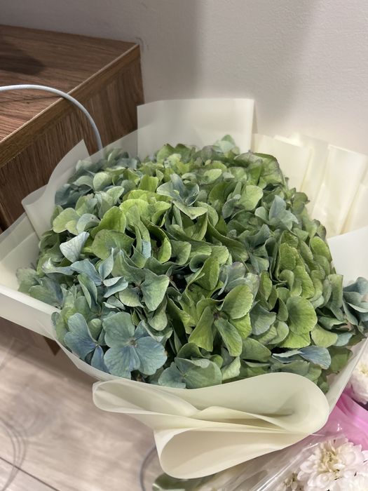 Продам цветы, свежие дешево 5к