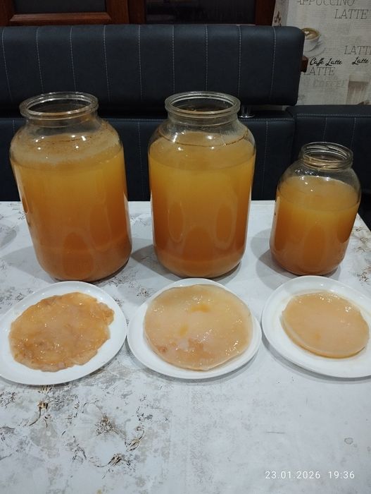 Яблочный натуральный домашний уксус. 500грамм 50тыс.