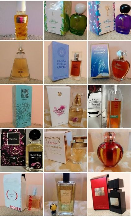 Dzintars Flora bella Lalique Highness rose