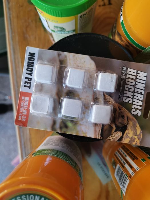 Храна за сухоземни костенурки