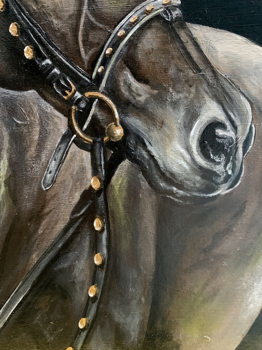 Картина «Akhal-teke»