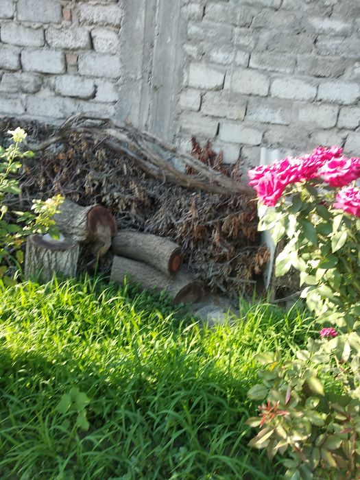 Продаю    дрова.