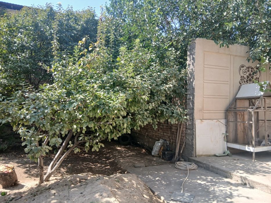 Nazarbek harakat mahalla 2.7 sotix