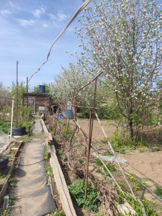 Продам дачу ПК Здравница
