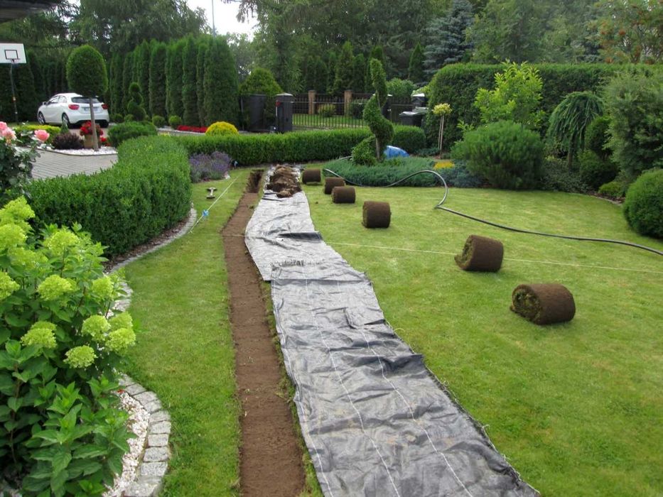 Газон посевной рулонный автополив