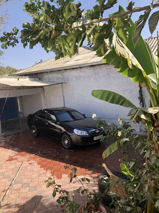 epica 2010 Tanerovka + Metan