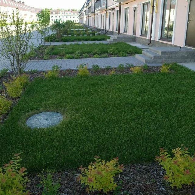 Услуги сантехника и ландшафт газона