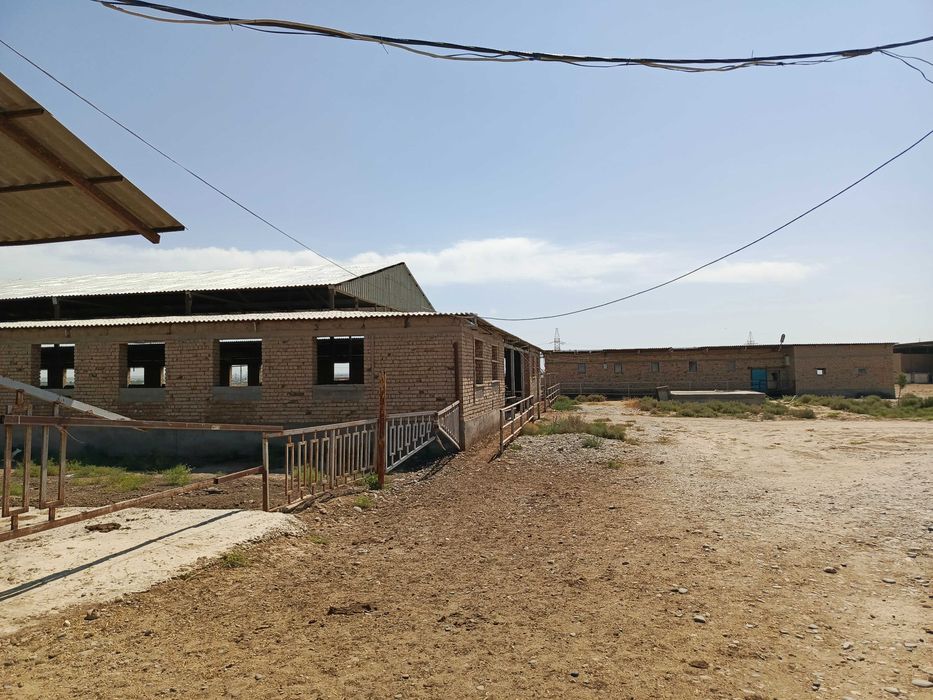 Ферма 3.5 Га город Каттакурган цена 450 000 уе торг есть