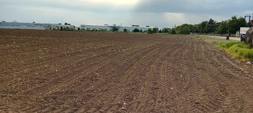 Teren intravilan industrian  16.500 mp , Deschidere 27 ml
