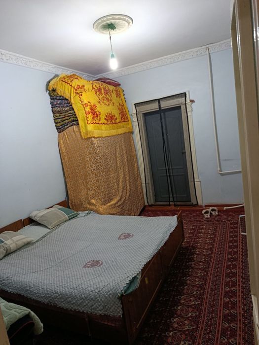 3 Хонали Шарк 1 16 Школа