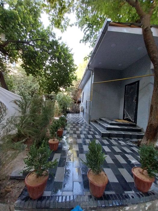 Срочно Продаётся Чилонзор!