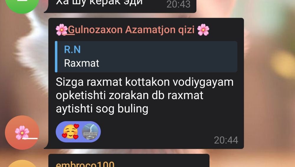 Klapaga  qarshi parashok 75000