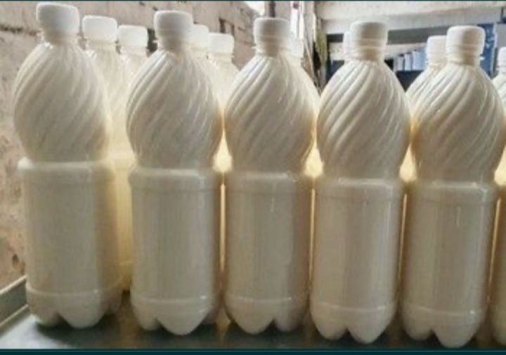 Сиыр сүті сатылады. Продается коровье молоко.