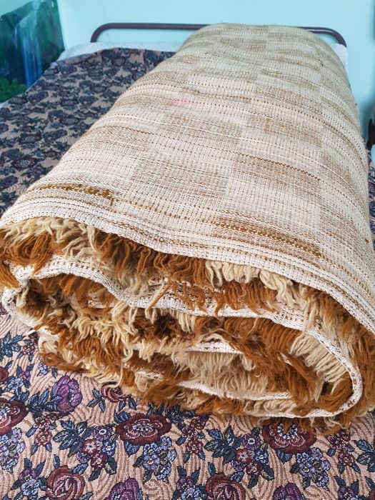 Нови вълнени китеници