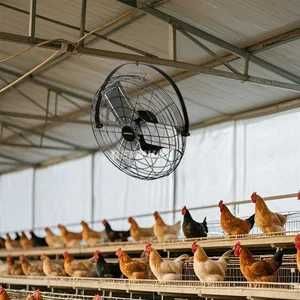 Вентилятор  навесный