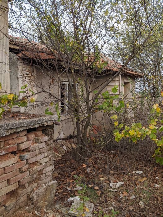 Продава се Парцел в с. Тригорци, Област Добрич - 2500 кв.м за 4 €/кв.м - Снимка #3