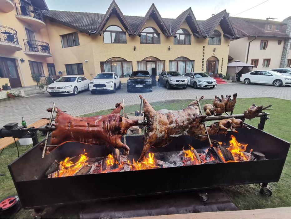 Porc facut la protap !