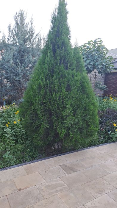 Коттедж в военном городке ,уютный,чистый,6 комнат