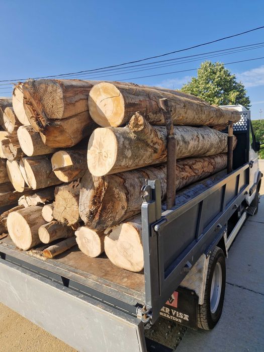 Lemn foc esență tare