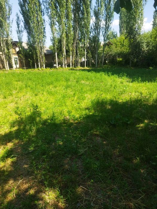 Er sotiladi 8 sot Boʻstonliq tumanida yangi oʻul mxalasida