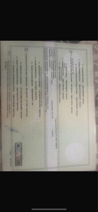 Кинг чарльз спаниель щенки