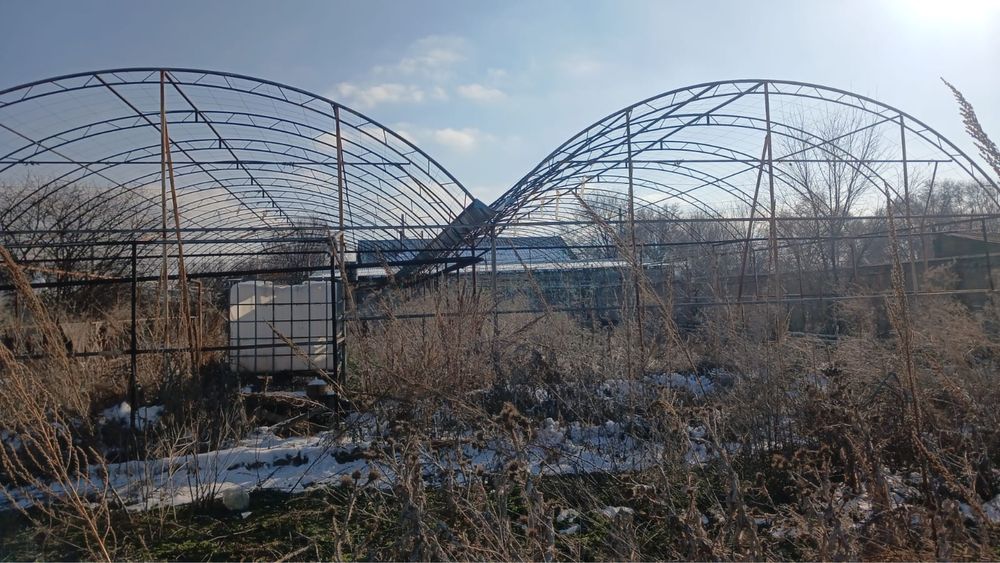 Продам Срочно теплицу
