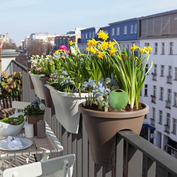 Set 4 bile de udare ceramica sistem automat plante de apartament verde