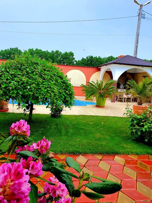 Ofer catre inchiriat pe termen lung, vila de lux in cartier Trivale.