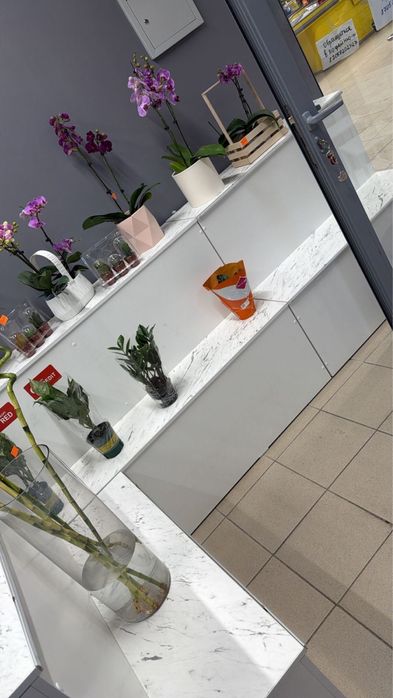 Витриные полки для магазина