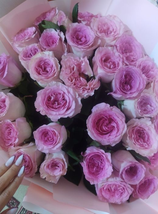 Новый қазір келді