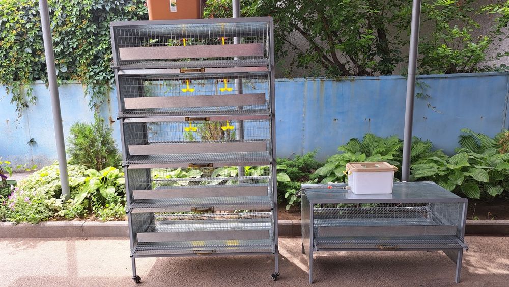 Клетки для содержания перепелов