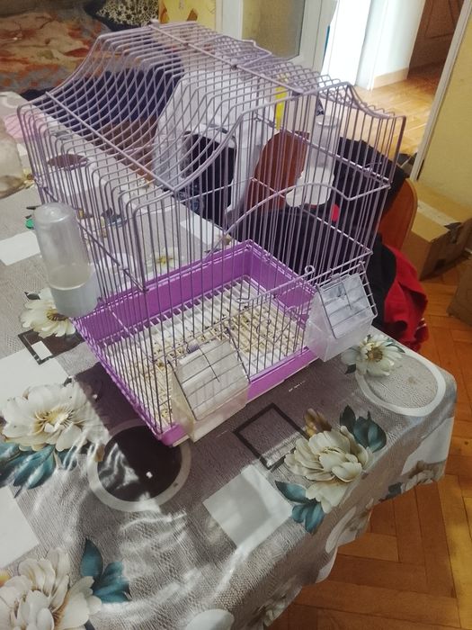 Donez cușcă ptr păsări papagali etc...