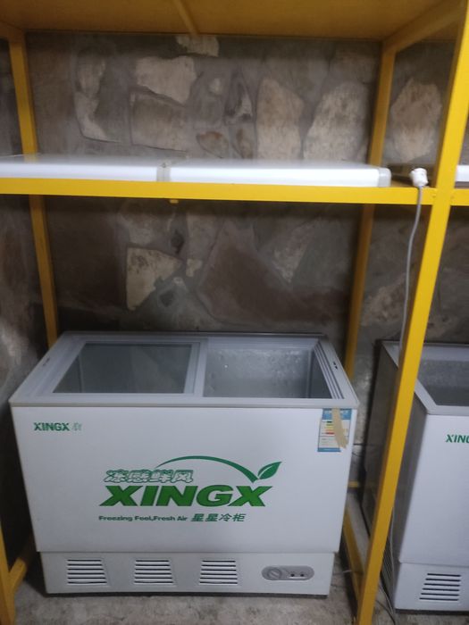 Продам 2 морозильника xing